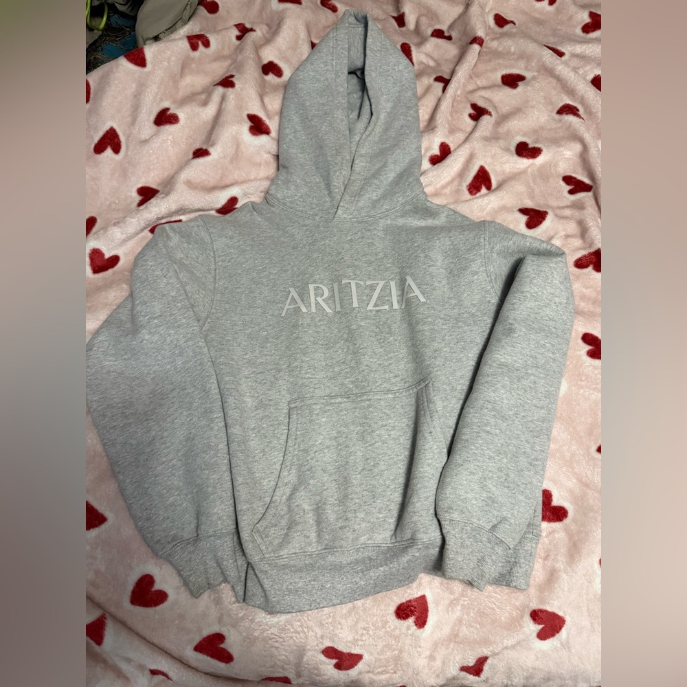 Aritzia Hoodie! Size Extra Small!